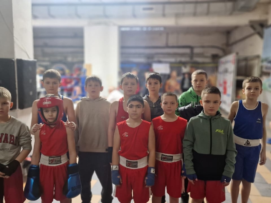 Боксеры спортивной школы "Ника"